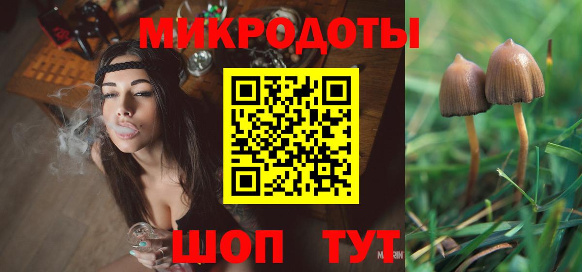 Энгельс  Галлюциногенные грибы Psilocybe  где можно купить   Вход с VPN 